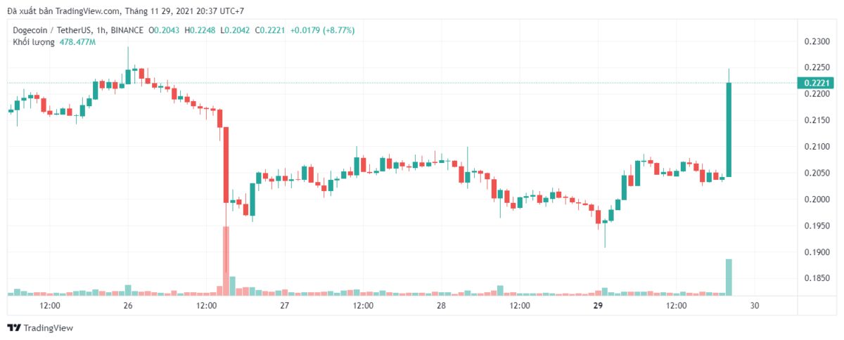 DOGEUSDT_2021-11-29_20-37-33