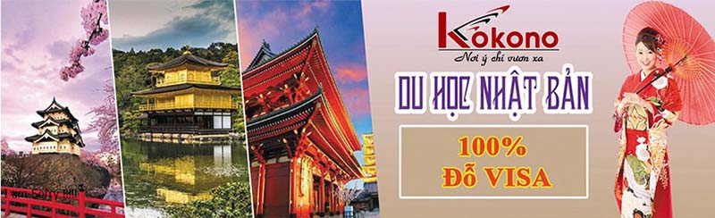Trung tâm tư vấn du học tại Hải Phòng
