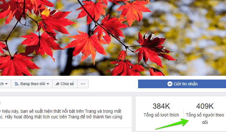 Fanpage không dựa vào nhiều follow để cấp tích xanh