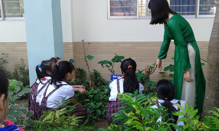 Các bạn học sinh tham quan thực tế ngoài vườn trường